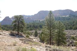 Unnamed crags to the east [mon sep 1 09:15:18 mdt 2025]